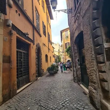 Hybris Campo De' Fiori-3